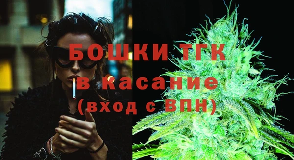 apvp Вяземский