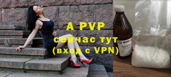 apvp Вяземский