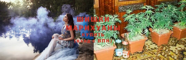 apvp Вяземский